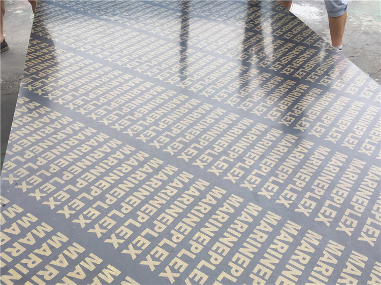 IMG_4926.JPG IMG_4926.JPG